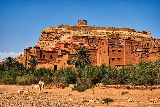 Shared 3 Days Desert Tour From Marrakech (Private Accommodations) - Accessibility Considerations