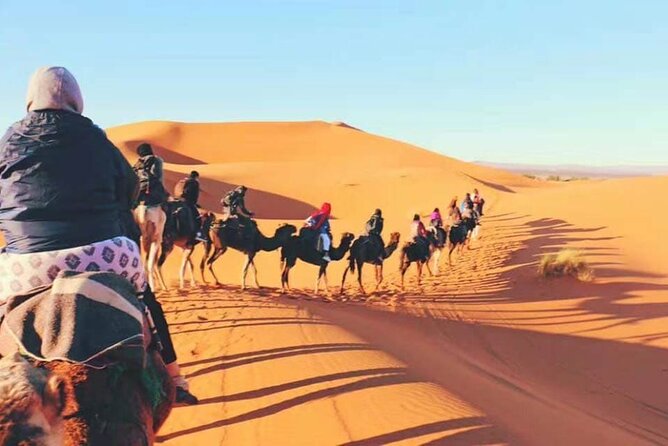 Shared 3 Days Fes Desert Tours to Marrakech - Meals and Drinks