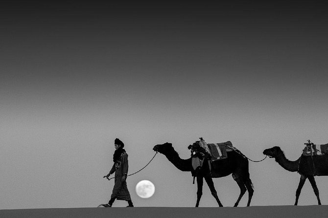 Shared 3 Days Tour From Marrakesh to Fes via Merzouga Desert - Included Amenities