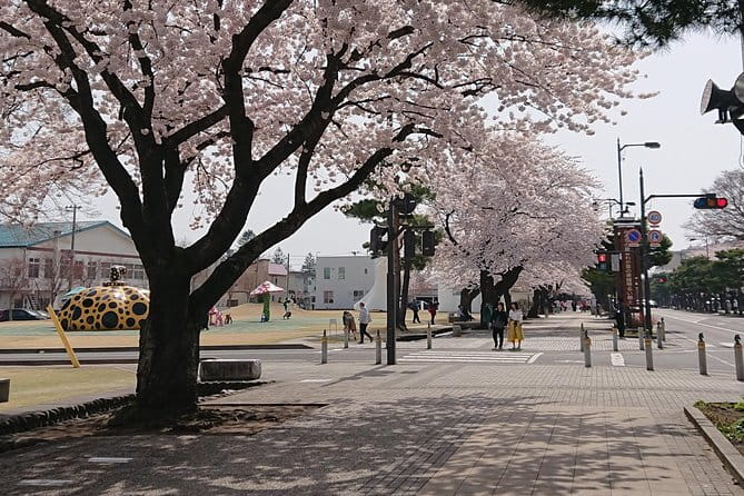 Shared 3 Hours Tour to Discover the Character of Sakichi Horie - The Tour Experience: Highlights and Takeaways