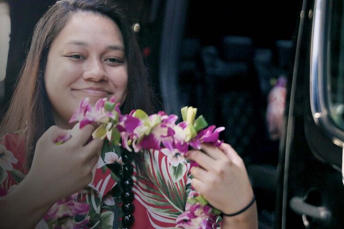 Shared Arrival Transfer: Honolulu Airport to Hotel or Cruise Terminal - Overview of the Shared Arrival Transfer