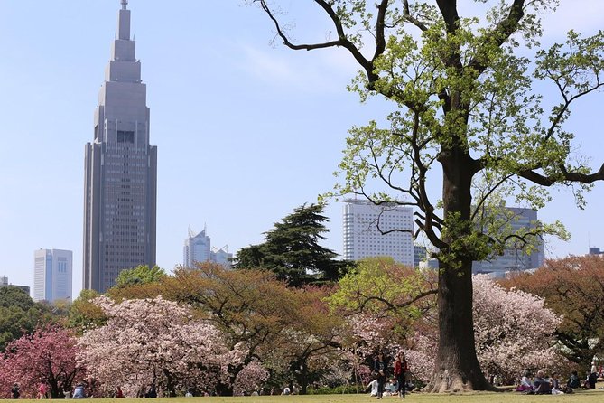 Shared Arrival Transfer : Narita International Airport to Hotel (Central Tokyo) - Accessibility and Additional Information