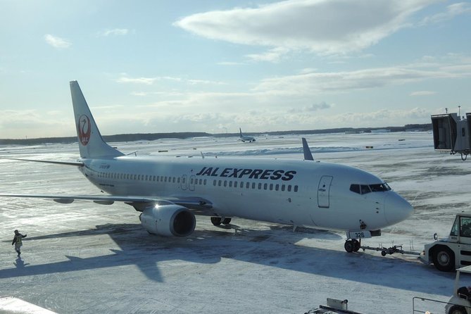 Shared Arrival Transfer : New Chitose Airport to Otaru City - Accessibility and Baggage Policy