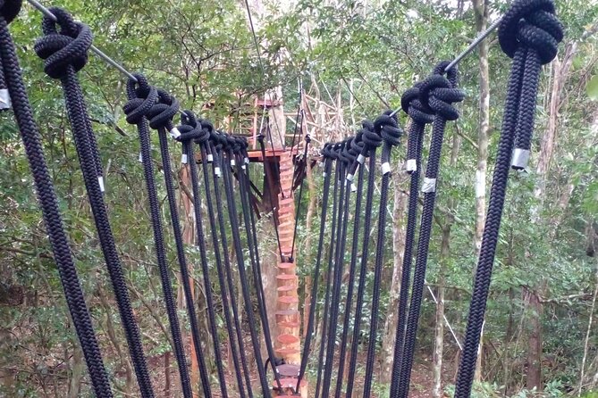 Shared ATVs and Zip Lines and Swimming in a Real Cenote. - Health and Safety Guidelines