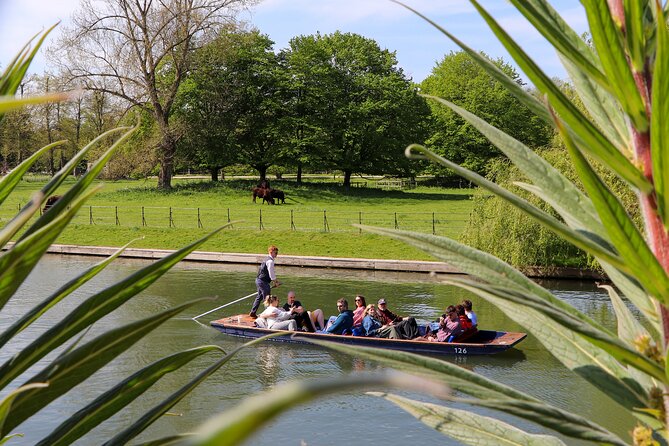 Shared Chauffeured Punt Tour - Guided Punting Adventure on River Cam