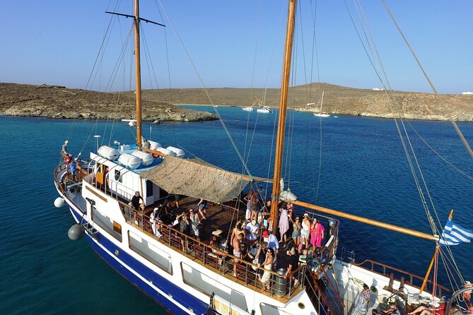 Shared Cruise From Mykonos to Ancient Delos & Rhenia Island - Expectations