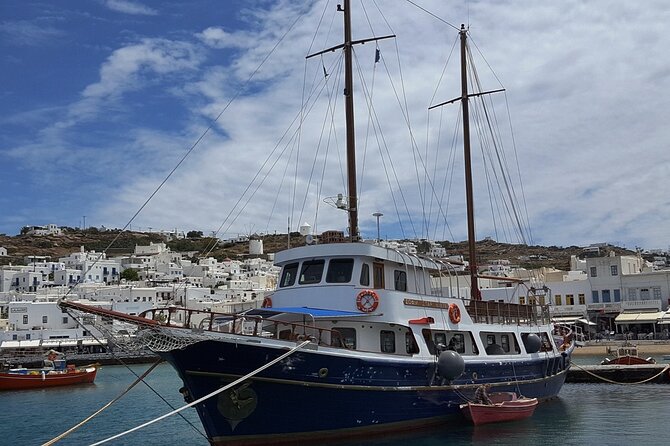 Shared Cruise From Mykonos to Ancient Delos & Rhenia Island - Frequently Asked Questions