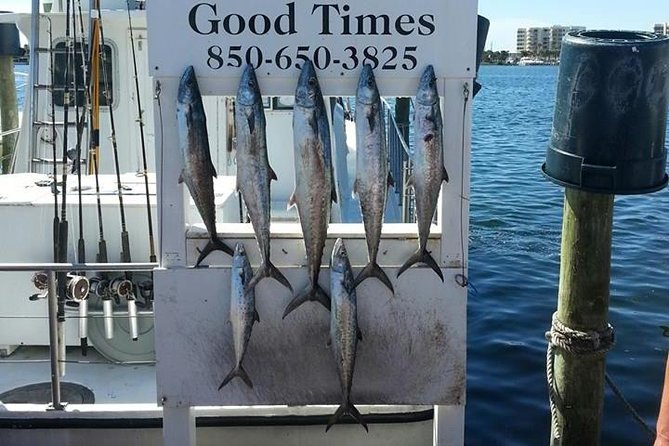 Shared Deep Sea Fishing Trip - Inclusions