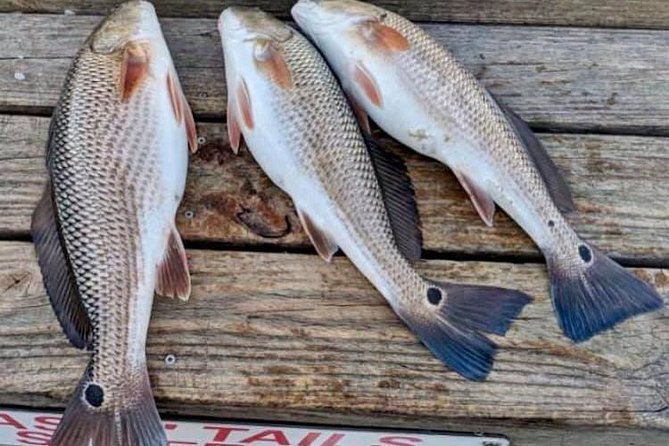 Shared Deep Sea Fishing Trip - Cancellation and Confirmation