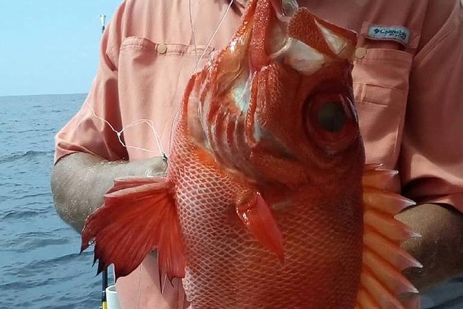 Shared Deep Sea Fishing Trip - Customer Feedback Highlights