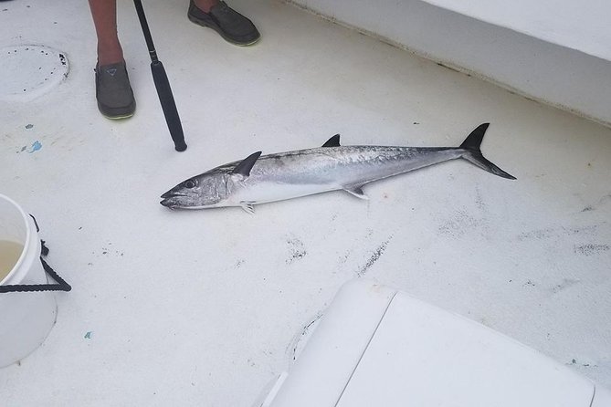Shared Deep Sea Fishing Trip - Crew Professionalism and Guidance