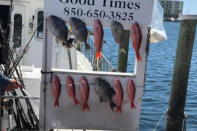 Shared Deep Sea Fishing Trip - Boat and Amenities