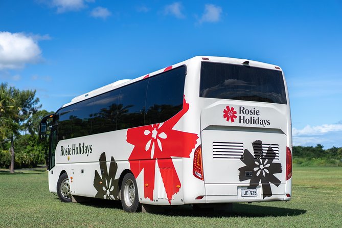 Shared Departure Transfer : Hotel to Airport - Accessibility