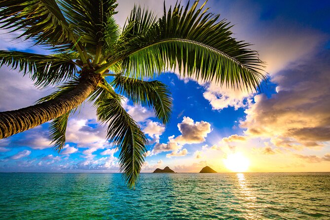 Shared Departure Transfer: Hotel to Maui Kahului Airport - Reliable and Personalized Service