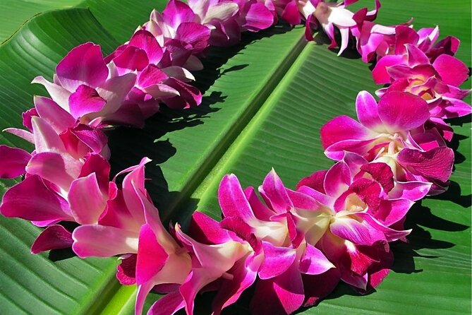 Shared Departure Transfer: Hotels to Kona International Airport - Inclusions