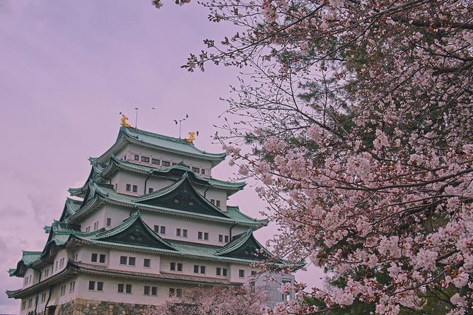 Shared Departure Transfer : Nagoya City to Chubu Airport - Infant and Accessibility Considerations