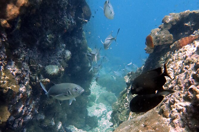 Shared Diving Experience in Sail Rock - Diving Gear and Equipment Provided