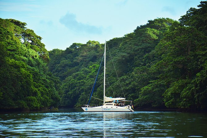 Shared EAST Cruise - Ile Aux Cerfs : Full Day Catamaran Cruise - Inclusions