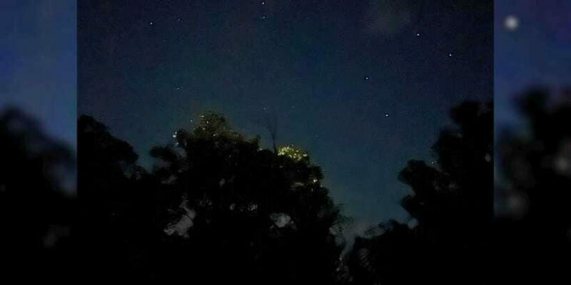 Shared Firefly Watching Cruise on Bohols Scenic Loboc River - Final Thoughts
