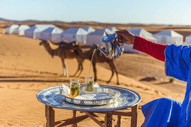 Shared Group 3 Days/2Nights: Fez to Marrakech Sahara Tour - Camel Trekking Experience