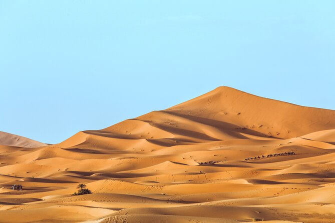Shared Group Desert Tour Fes To Marrakech Via Merzouga 3 Days - Memorable Desert Experience