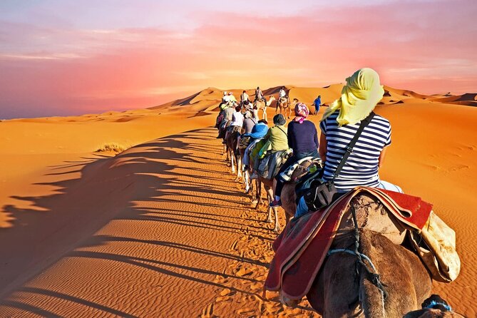 Shared Group Fez to Fez Sahara Tour 2days/1night - Group Size