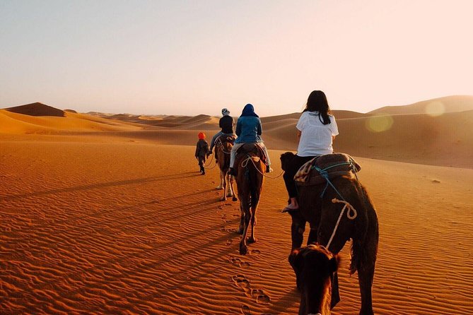 Shared Group Fez To Marrakech via Merzouga Desert Tour 2 Days - Inclusions