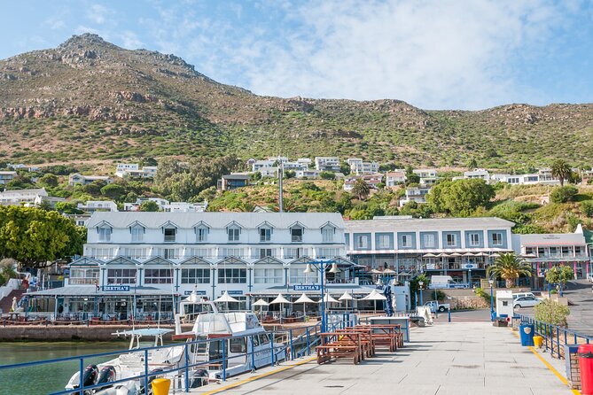 Shared Half Day Tour in Cape Peninsula With African Penguins - Confirmation and Additional Info