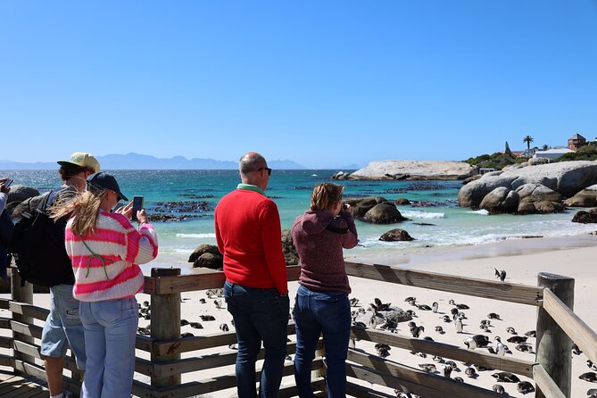 Shared Half Day Tour in Cape Peninsula With African Penguins - Tour Operator and Reviews
