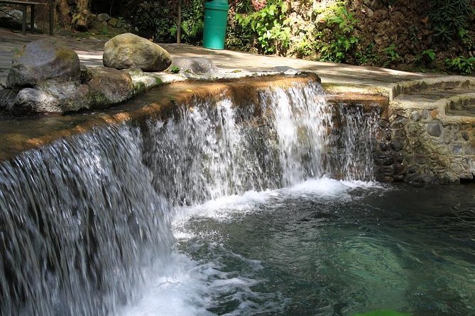 Shared Hidden Valley Tour From Manila Review - Key Points