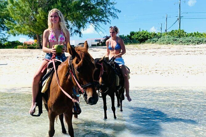 Shared Horseback Riding in Turks and Caicos - What to Expect from the Tour