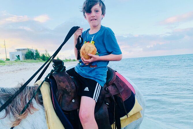 Shared Horseback Riding in Turks and Caicos - Pricing and Value