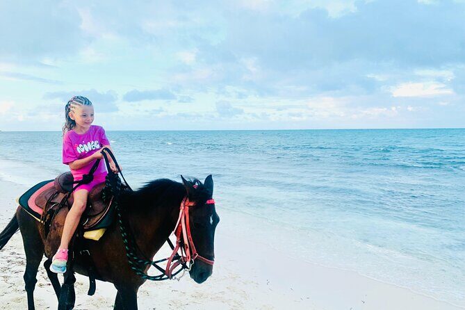 Shared Horseback Riding in Turks and Caicos - Authentic Feedback from Guests