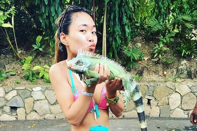 Shared Konoko Falls and Tropical Garden Tour From Ocho Rios - Transportation and Pickup Details
