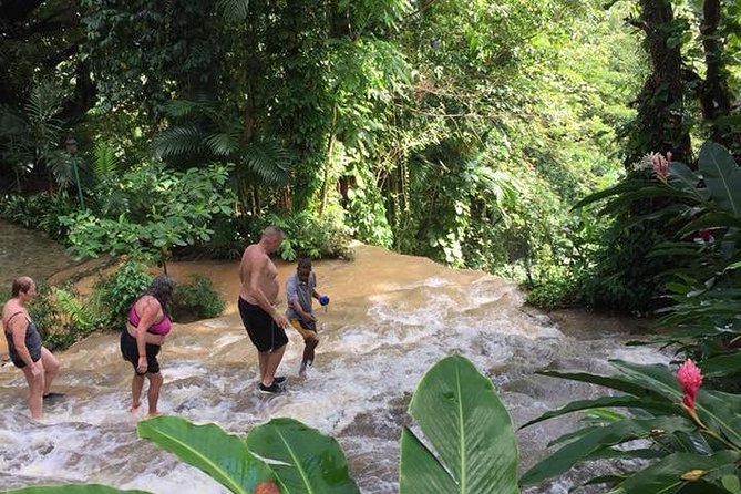 Shared Konoko Falls and Tropical Garden Tour From Runaway Bay - Recommendations and Considerations