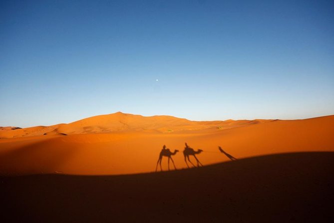 Shared Marrakech to Fes Desert Tour - 3 Days & 2 Nights - Pickup and Drop-off