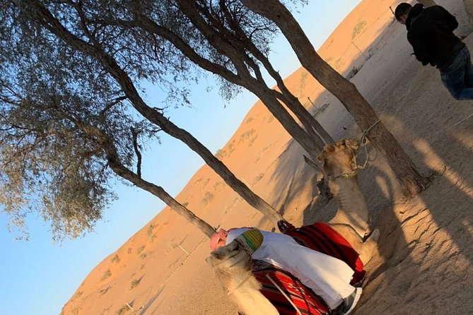Shared Morning Safari - Inclusions and Cancellation