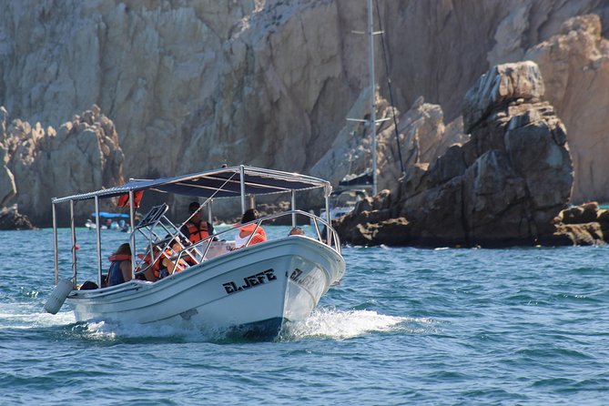 Shared Ride to the Arch of Cabo San Lucas - Tour Reviews