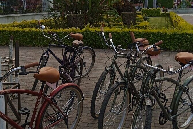 Shared Santa Maria Del Tule Bike Tour - Key Points