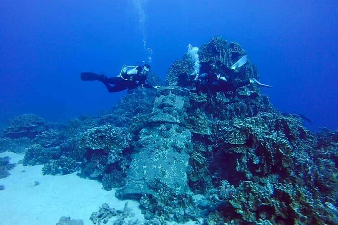 Shared Scuba Diving Experience on Easter Island One Dive Only - Key Points