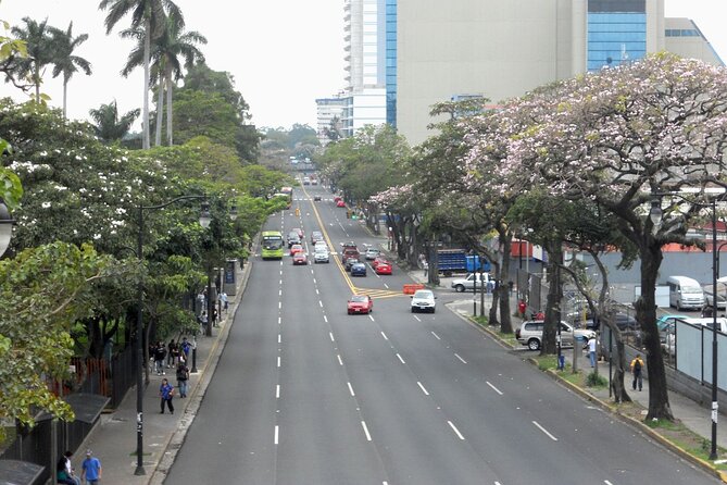Shared Shuttle Guanacaste to San Jose - Pickup and Drop-off Details