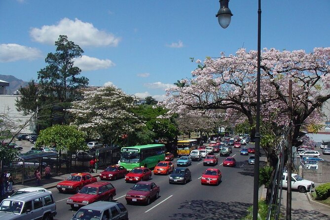 Shared Shuttle Guanacaste to San Jose - Booking and Reservation Information