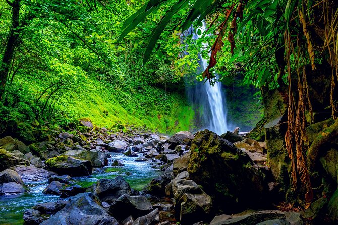 Shared Shuttle Puerto Viejo to Arenal - Pickup and Drop-off Details