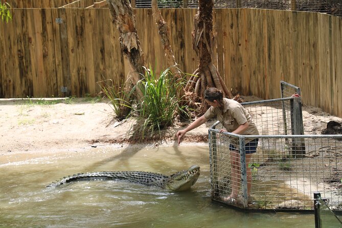 Shared Shuttle Return Transfers (ex Cairns) Transfers Only - Wildlife Highlights