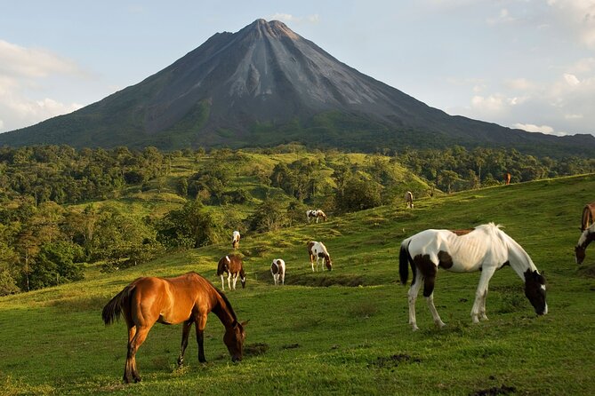 Shared Shuttle San Jose to Arenal - Accessibility Options