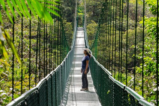 Shared Shuttle San Jose to Monteverde - Key Points