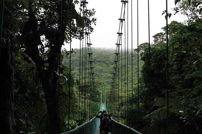 Shared Shuttle Tamarindo to Monteverde - Key Points