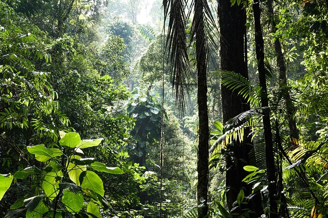 Shared Shuttle Tamarindo to Monteverde - Meeting and Pickup
