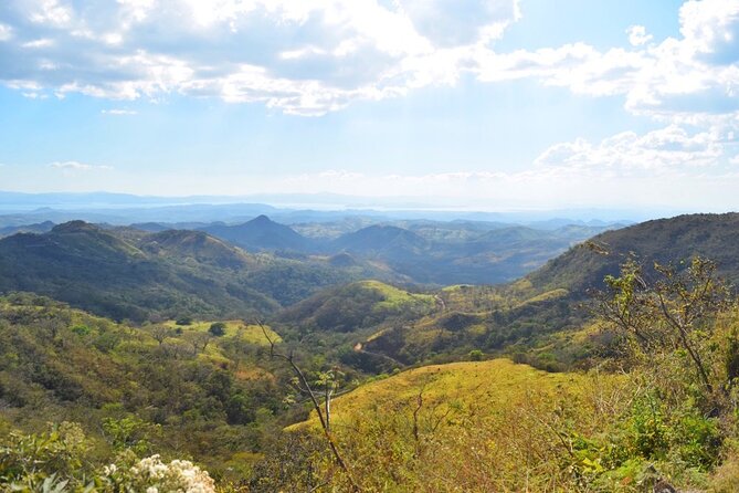 Shared Shuttle Tamarindo to Monteverde - Traveler Recommendations
