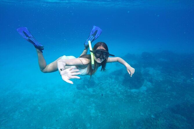 Shared Sky Snorkeling in Cozumel - What Travelers Are Saying (Based on Reviews and Data)